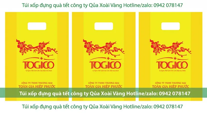 túi xốp đựng quà Tết Công ty TOGICO