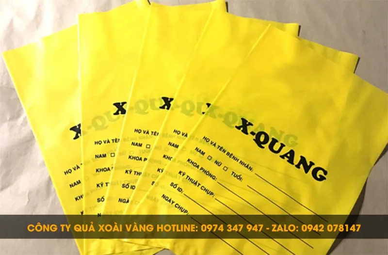 mẫu túi đựng phim X-quang phòng khám
