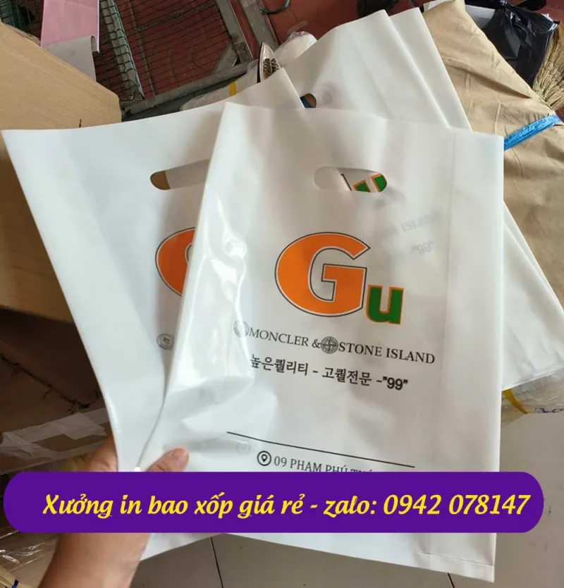 IN TÚI HỘT XOÀI