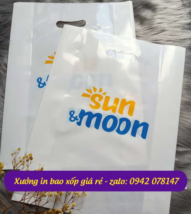 in túi xốp hột xoài