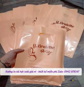 in túi nilon đẹp