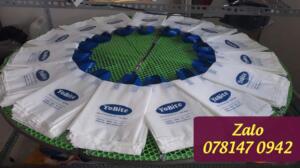 In túi xốp PE hột xoài