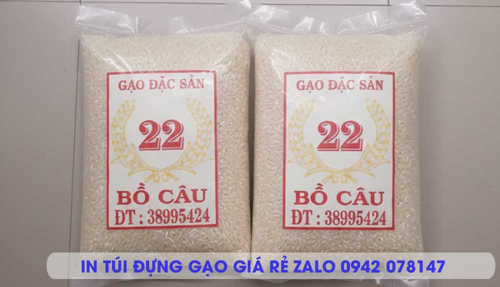 mẫu túi đựng gạo đặc biệt